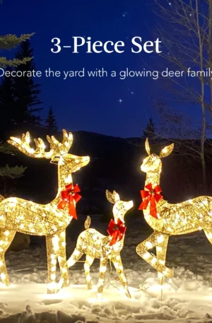 3-Piece Lighted Christmas Deer Set